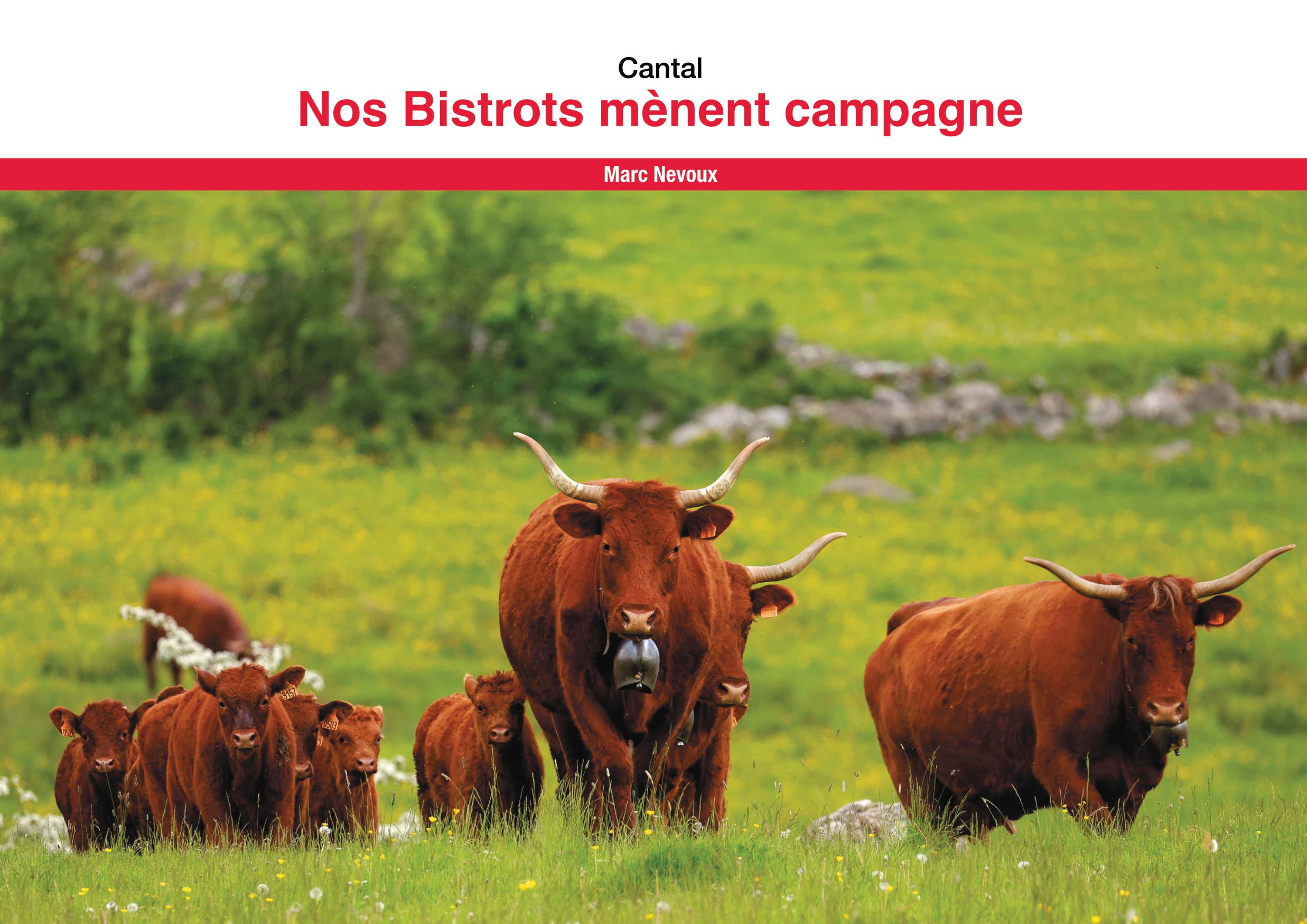Le Pack ! Puy-de-Dôme + Cantal – Image 3